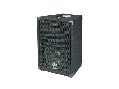 BR10 10" 2-Way Speaker 250W 8Ω