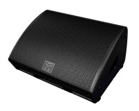 Martin Audio XE300 12 2-Way Bi-Amp/Passive Coaxial Stage Monitor Black  - Image 1