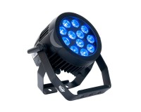 ADJ 12P HEX IP PAR Outdoor Rated 12x12W RGBAW LEDs Black - indoor and outdoor stage lighting