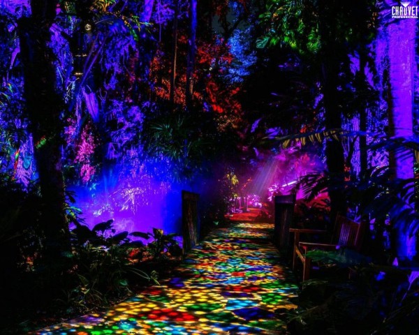 Over 360 CHAUVET Professional Fixtures Create Immersive “NightGarden” at Botanic Gardens