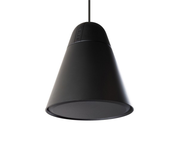 Apart P60DT-BL 6.5 2-Way Pendant Loudspeaker 100V Black - Main Image