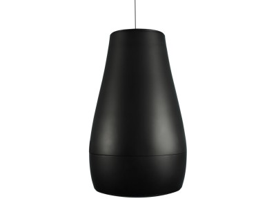 Desono P6 6.5" 2-Way Coaxial Pendant Loudspeaker 70/100V Black