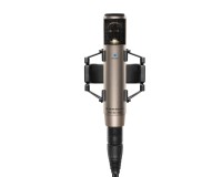 Sennheiser MKH 800 TWIN Ni Universal Studio Condenser Microphone Nickel - Image 1