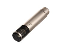 Sennheiser MKH 800 TWIN Ni Universal Studio Condenser Microphone Nickel - Image 2