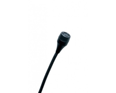 C417/PP Mini Lavalier Microphone (With XLR Plug)