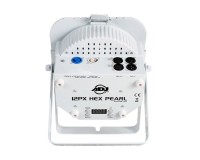 ADJ 12PX HEX PEARL PAR Can with 12x12W RGBAW+UV LEDs White - Image 3