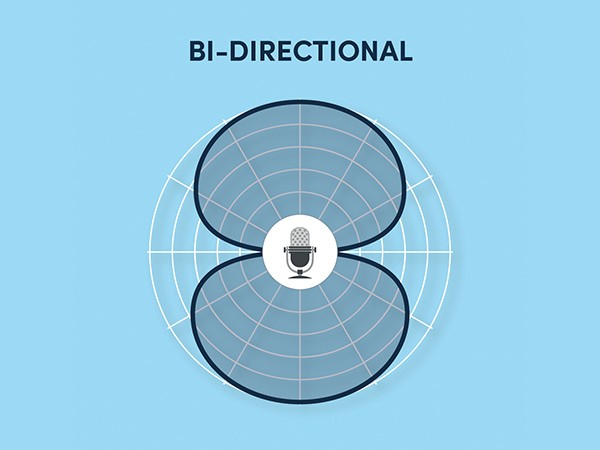 Bi-Directional Polar Pattern Symbol