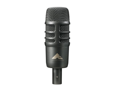 AE2500 Dual Element Condenser and Dynamic Cardioid Instrument Mic