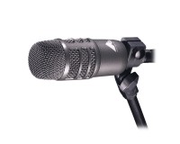 Audio Technica AE2500 Dual Element Condenser and Dynamic Cardioid Instrument Mic - Image 2