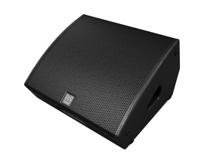 LE100 12" 2-Way Passive Coaxial Stage Monitor 300W Black 