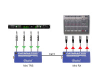 Radial Catapult Mini RX 4-Channel CAT-5 Audio Snake Receiver XLRM - Image 8