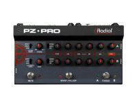 Radial PZ-Pro 2-Channel Acoustic Instrumental Preamp - Image 2