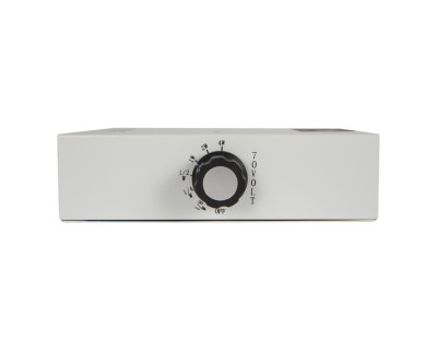 DS1390 2x4" Horizontally Opposed Driver Masking Speaker w/Clip