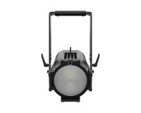 Chauvet Professional Ovation Reve P-3 IP Full-Colour LED PAR RGBAM IP65 Black - Image 4