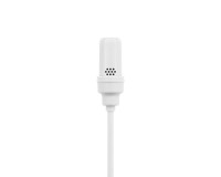 Shure UL4W/C-MTQG UL4 Cardioid Lavalier Microphone MTQG White - Image 2